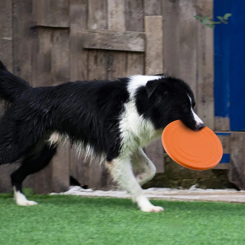 Disco Voador de Silicone Engraçado para Cães - Lahouse